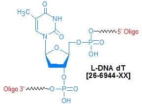 picture of L-DNA dT